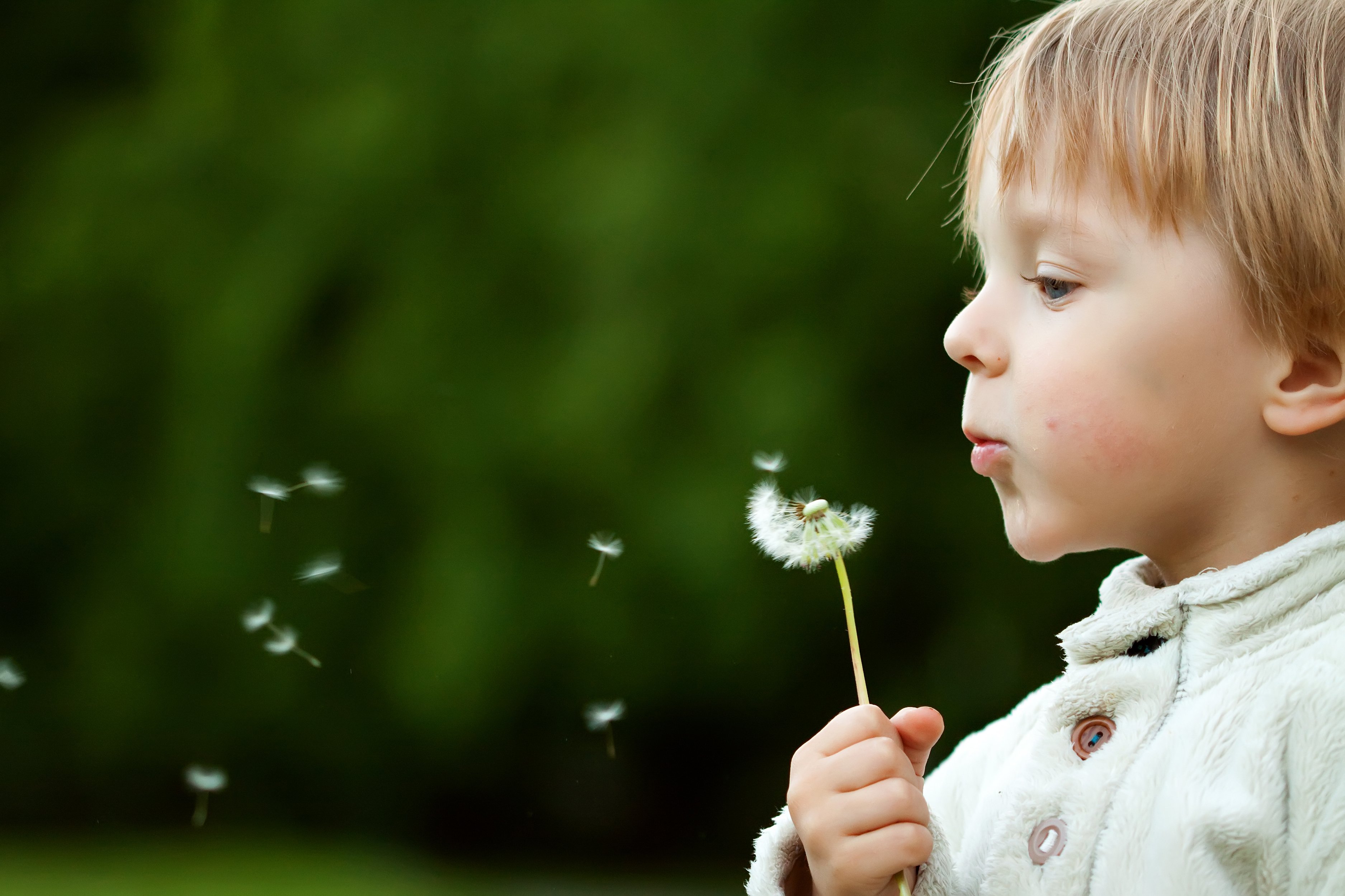 Shutterstock 58088842